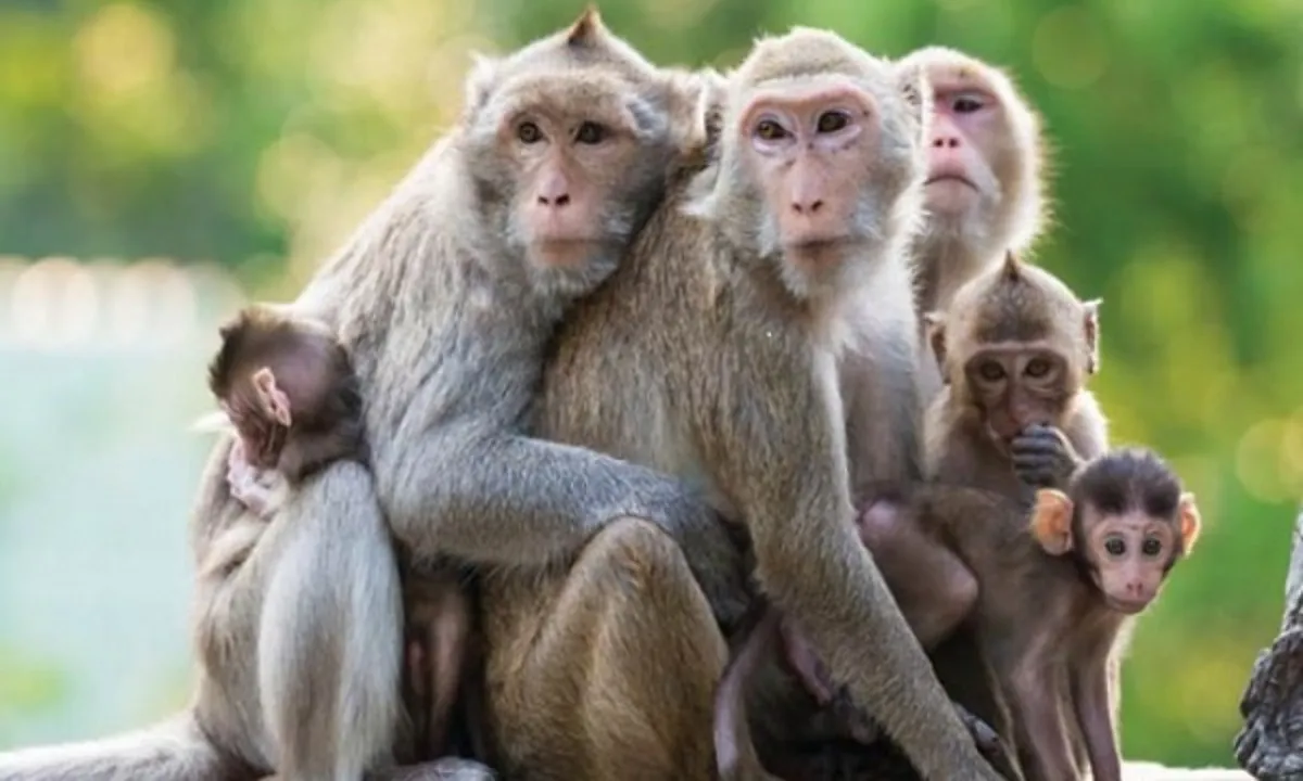 1-2017-10-30-09-32-14-chuyen-ten