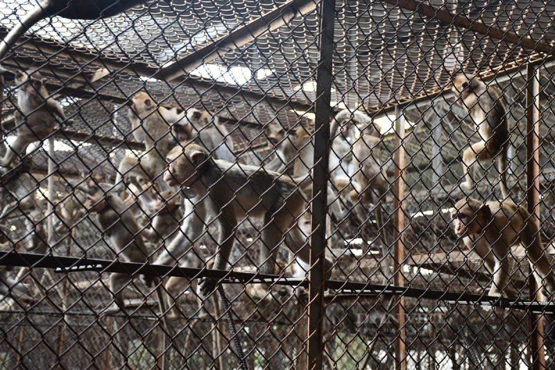 base64-16949471545031263022975