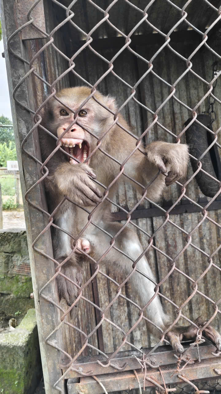 z76562413040274a53e0c89fbc39ccad7b0e13417dc043