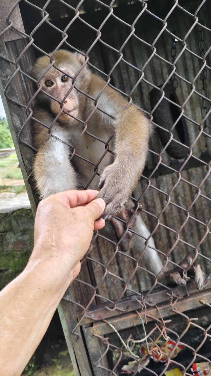 z7656241304064e88a4bb04066d08e5e55c286ff182bd1