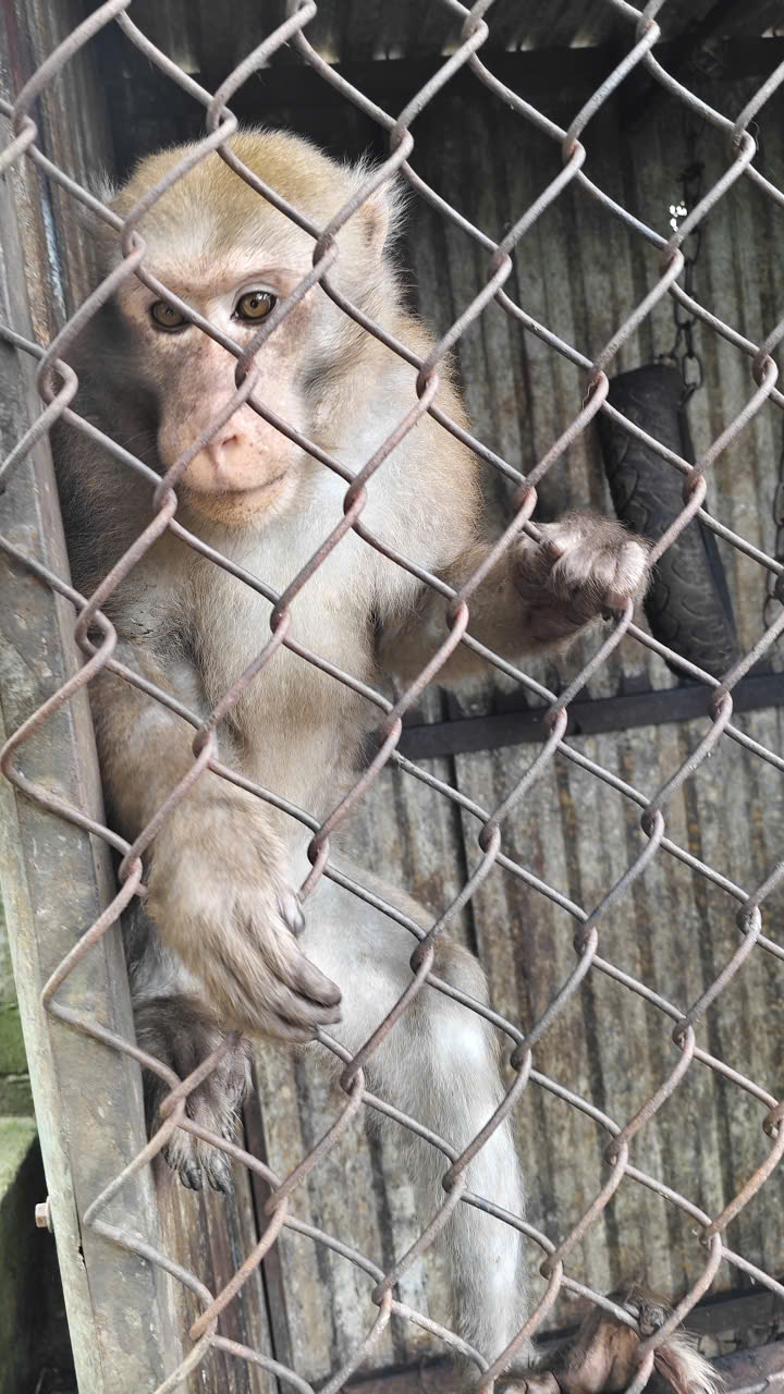 z76562413221748b7b666122da3405d453dcf8d8ccc425