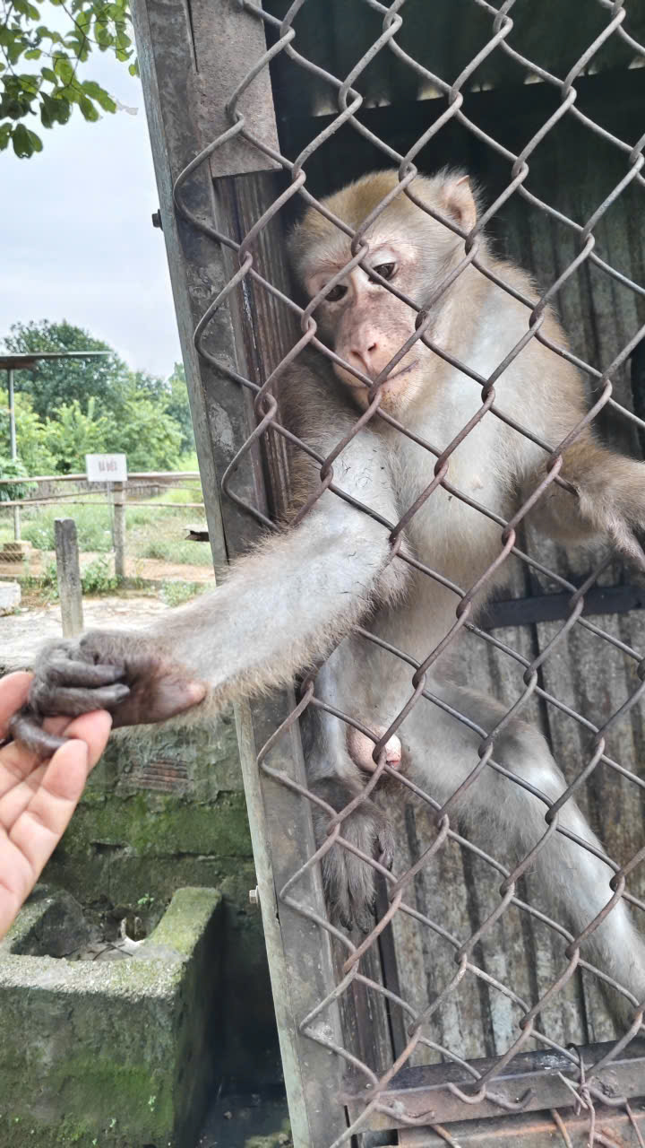 z765624132226029fb38403cb7dec38bb64c741ac719e5