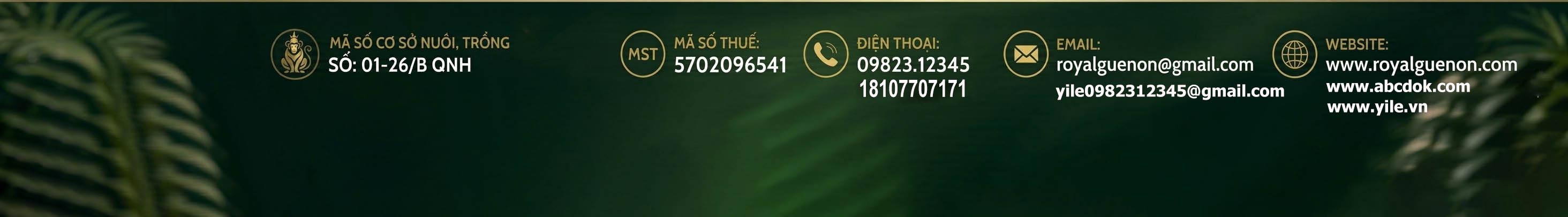 z773334264789595c8efc54efb166ee3c9431d7e375db8-2